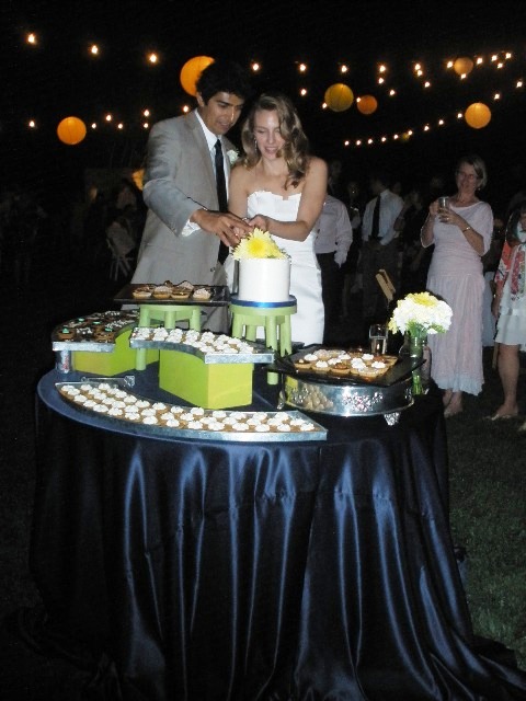 Bride and Groom cutting the cake